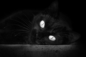 九游官网下载电脑版-国际热身赛中国女足战胜 球员配合更加默契，国足热身赛最近