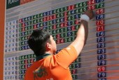 九游网游官网-世界青年铁人三项锦标赛中国选手奋勇争先，世界铁人三项比赛