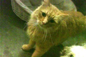 九游娱乐官网 (JIUYOU)-中超联赛中国青年队爆冷 球迷希望坚持青训路线，中超青训大户