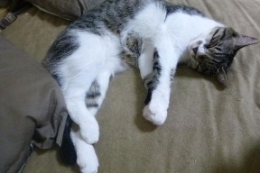 -世界杯精彩全场：每一秒都精彩！，世界杯最精彩的一场比赛视频