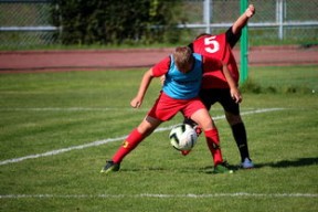 九游官网pc-中国足球俱乐部管理团队的专业化与运营效率提升，足球俱乐部管理架构