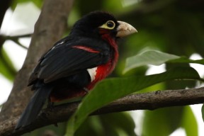 JiuyouAPP下载-曼联在关键比赛中逆转取胜，追赶榜首竞争激烈