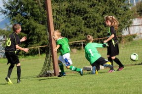 -中国足球比赛中裁判偏见感知与申诉渠道建设，足球裁判判错了如何申述