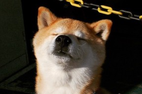 九游娱乐(jiuyou)官网-技术训练体系趋于规范化与专业化，简述技术训练的基本方法