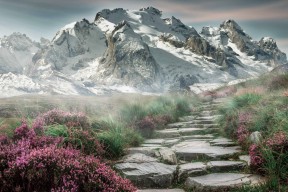 九游游戏中心-佛得角男篮在非洲锦标赛中表现抢眼，迈向奥运