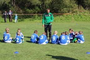 -南非混合泳团队战术引热议，南非的混合农业