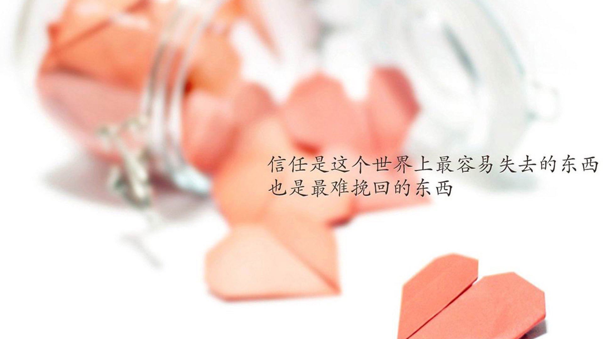 世界青年长跑锦标赛激情赛段引爆现场，2003-2019年世界长跑冲刺视频