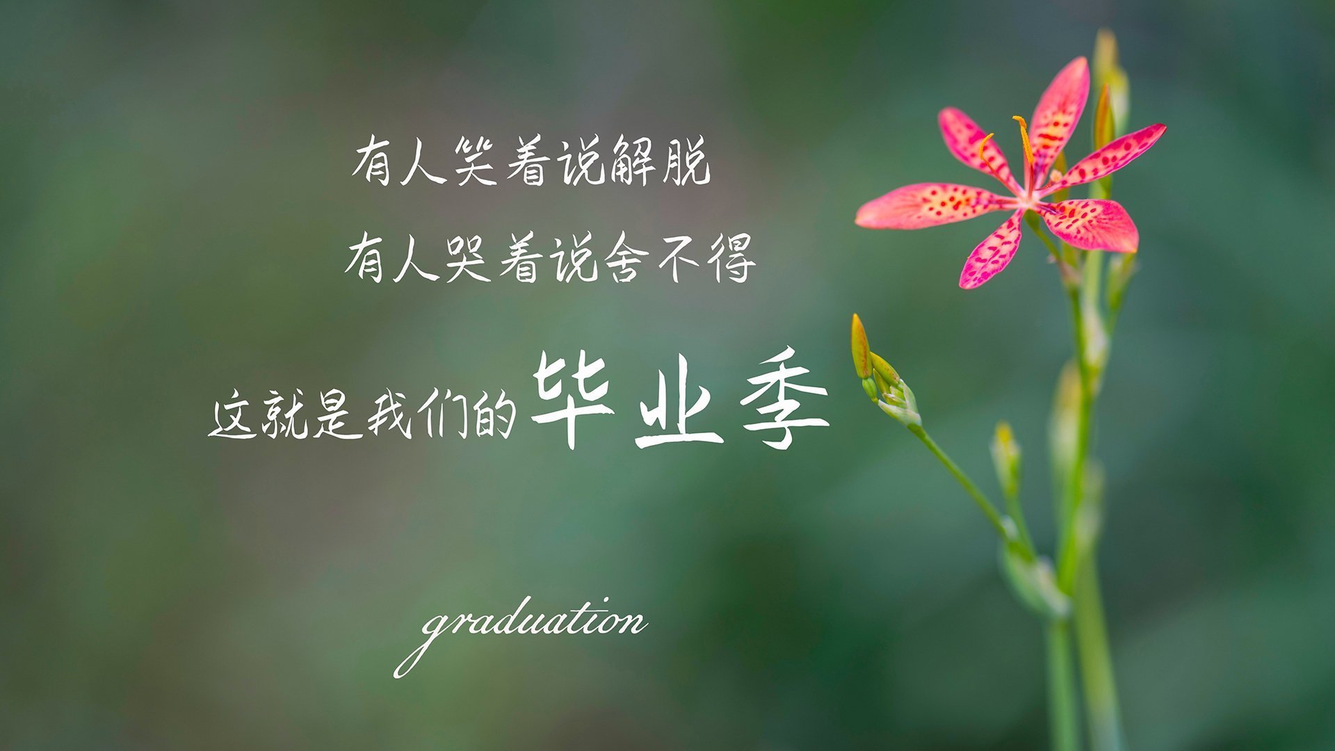 全民健身赛事政策执行评估与区域差异分析，全民健身赛事活动的意义