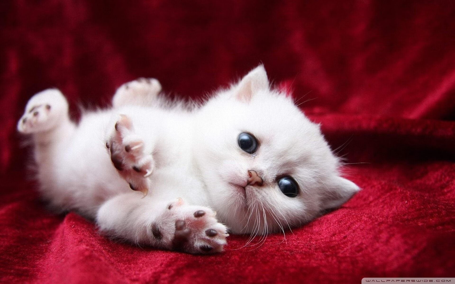 中国三人女篮加强快攻训练 提升得分效率,中国三人女篮规则