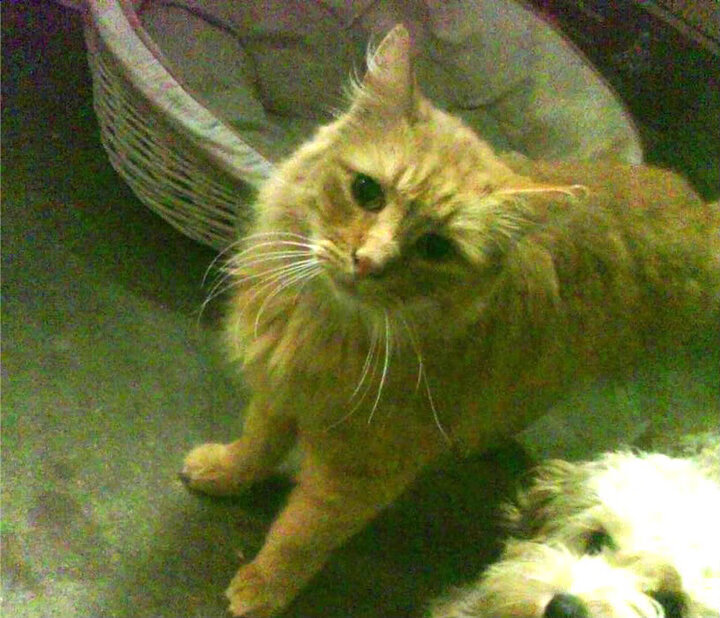 中超联赛中国青年队爆冷 球迷希望坚持青训路线，中超青训大户