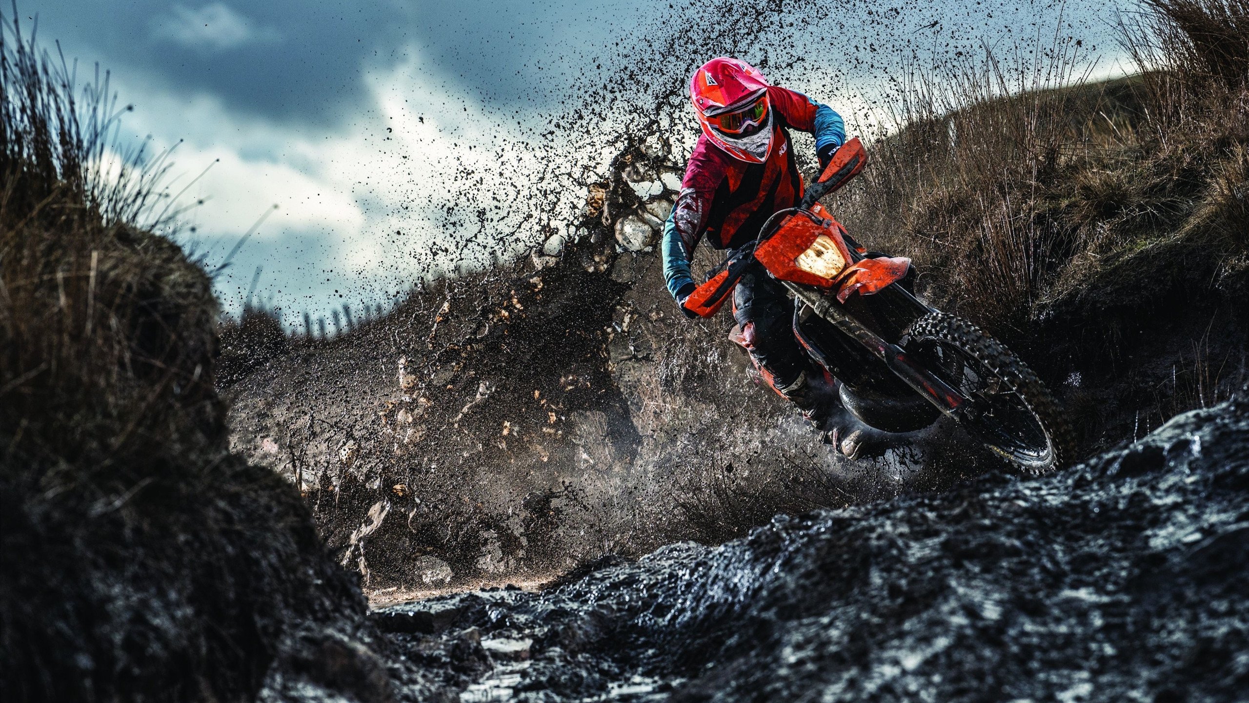 体育新闻中心参与高校体育新闻数字教材开发,体育新闻课程