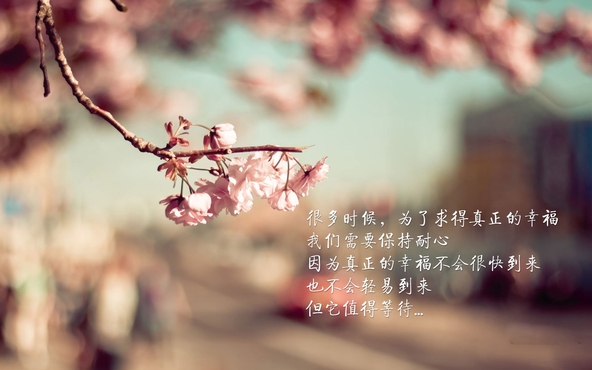 体育新闻中心建设高校体育新闻实训基地示范项目,学校体育新闻稿范文