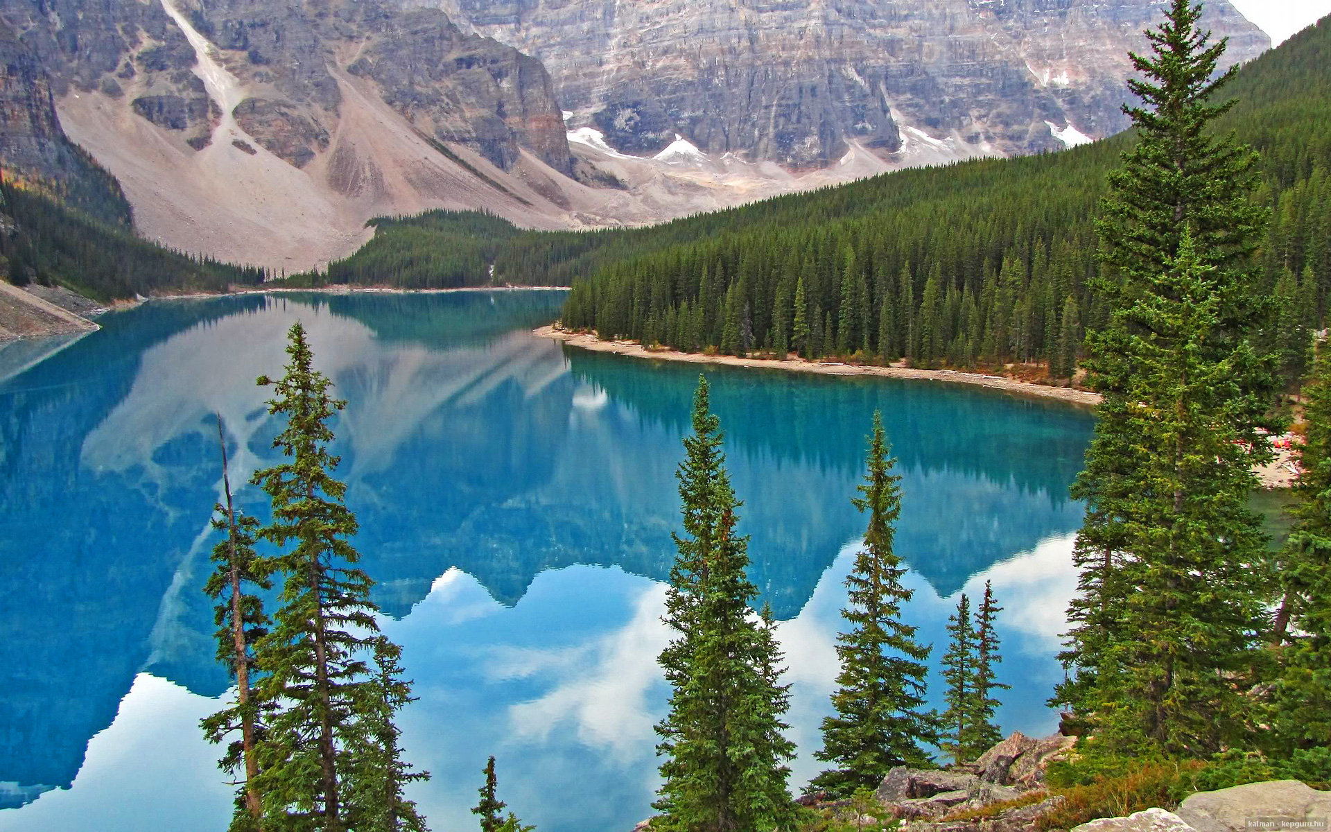 技术雷达图深度解读比赛表现，技术雷达什么意思