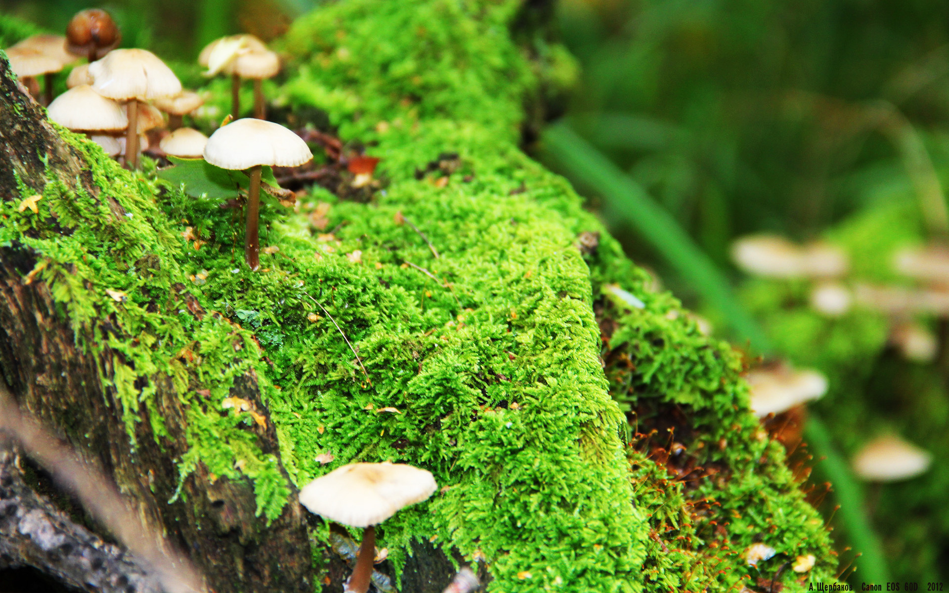 智能可穿戴设备为乒乓球运动员提供训练数据，乒乓球智能训练系统