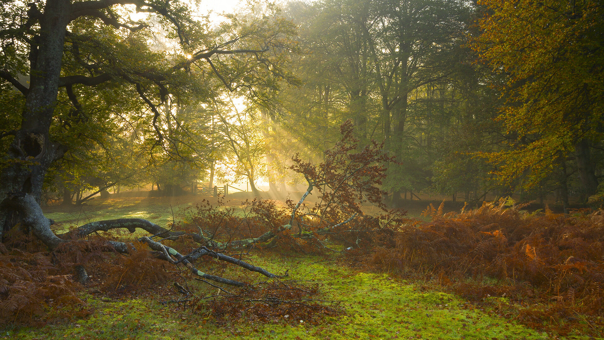 核心球员传球频率是否影响全队攻防切换节奏,核心球员角色球员区别