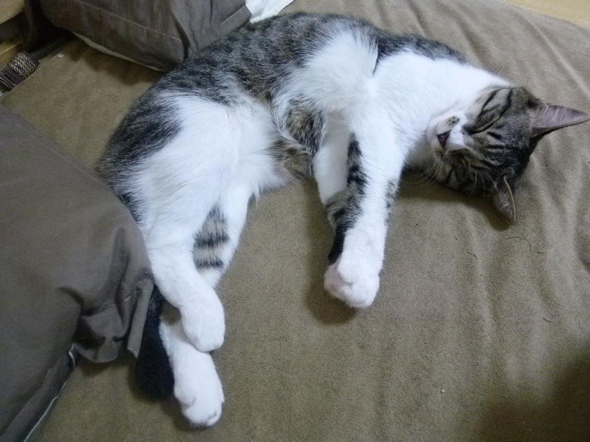 世界杯精彩全场:每一秒都精彩!,世界杯最精彩的一场比赛视频