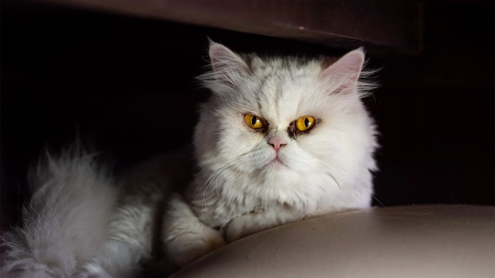 中超联赛整体薪资支出下降经营结构逐步合理，中超再降薪税前最高500万 不控制恐还有队退出