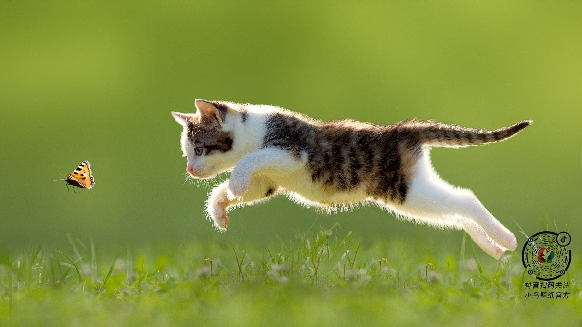 巴林男篮在西亚锦标赛中夺冠,体育事业快速发展