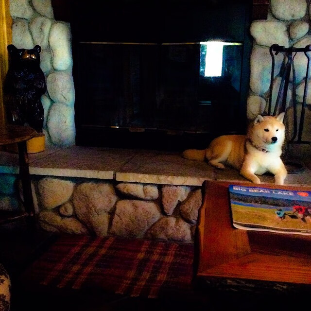 库里客串解说展现不一样的篮球智慧,库里篮球比赛解说