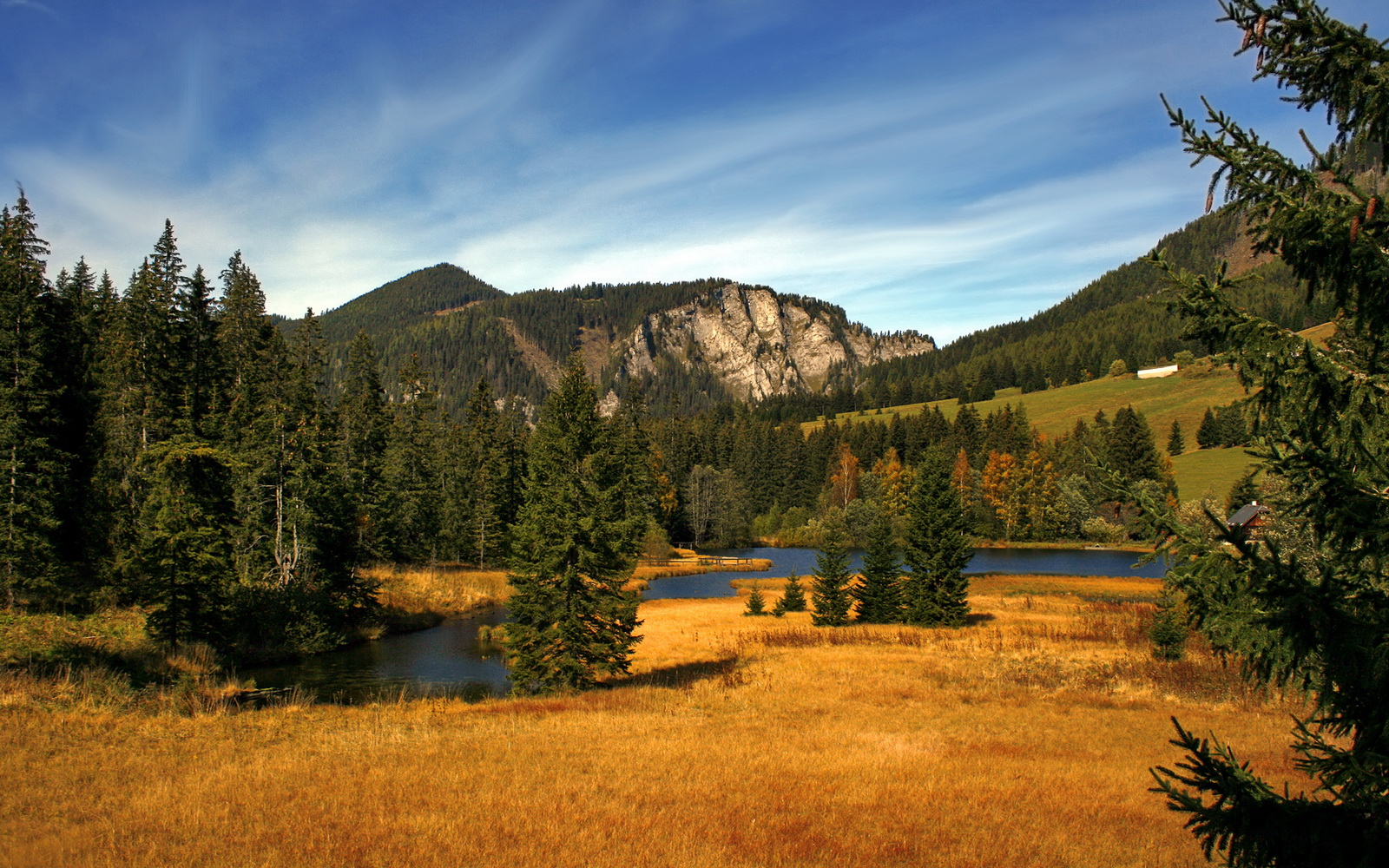 澳大利亚女篮在奥运预选赛中稳步前行,冲击奖牌